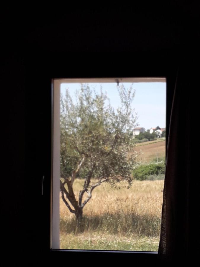 Casa Rosa Bed & Breakfast San Costanzo Dış mekan fotoğraf